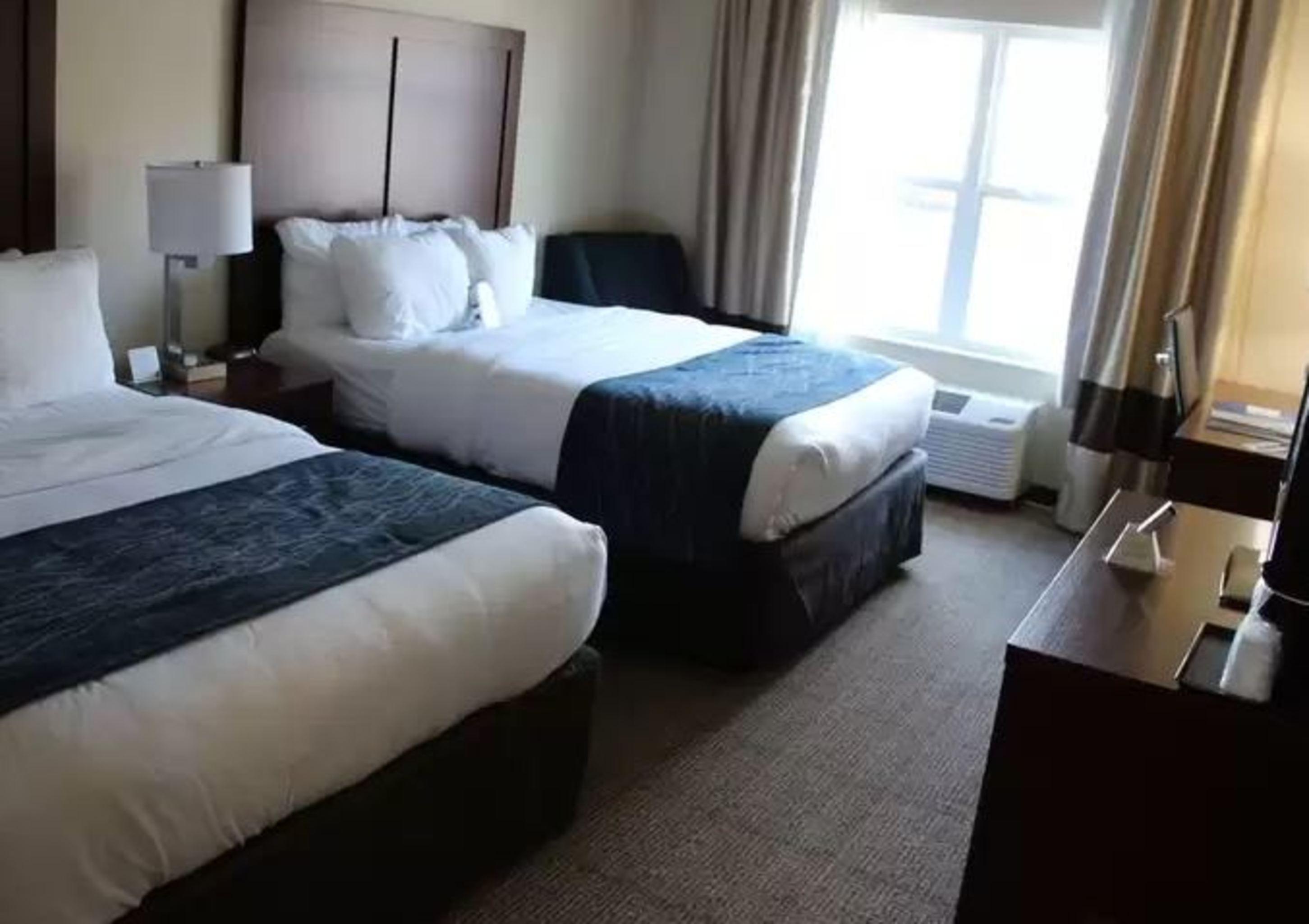 Comfort Inn & Suites Northern Kentucky Wilder Ngoại thất bức ảnh