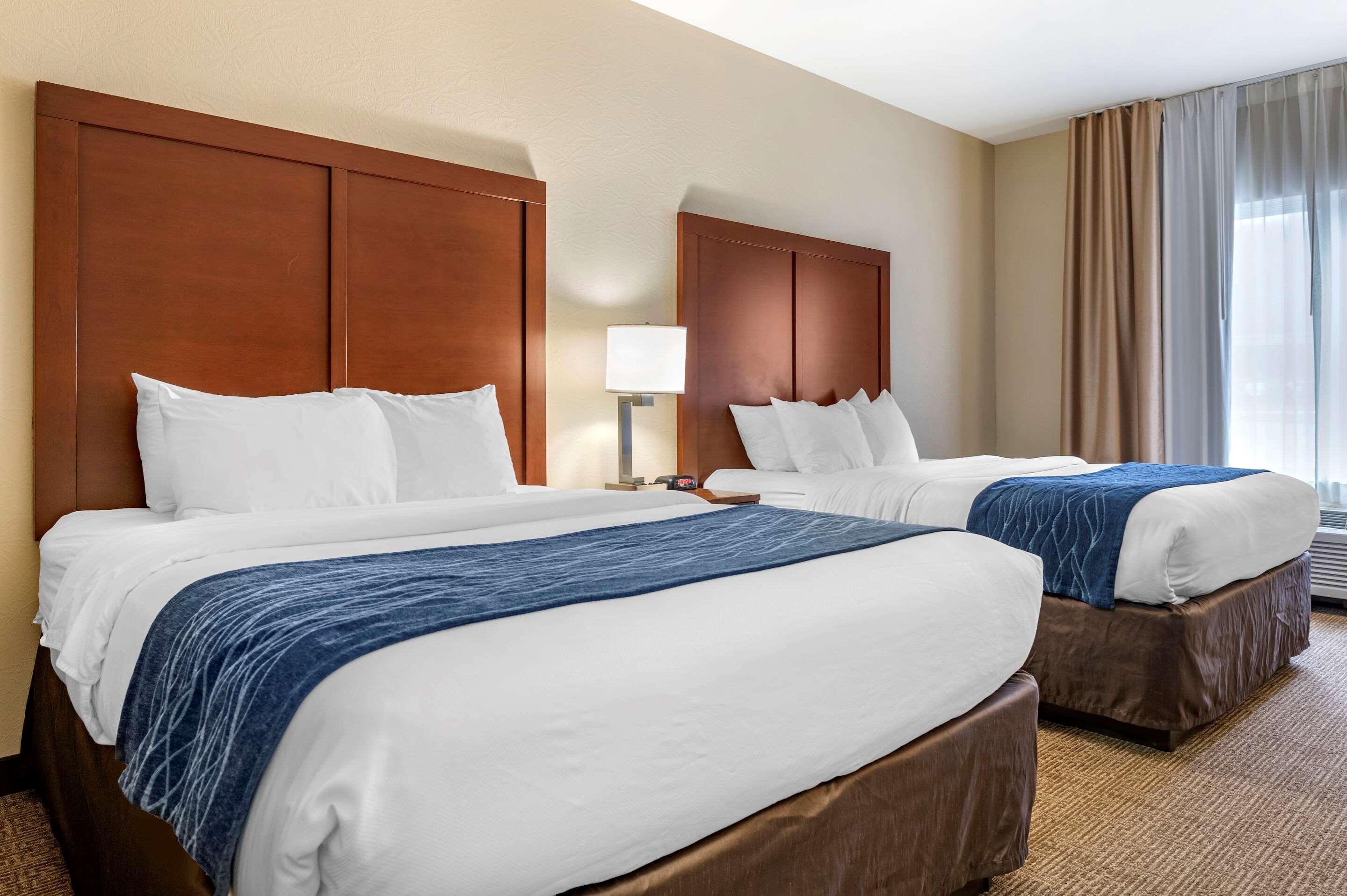 Comfort Inn & Suites Northern Kentucky Wilder Ngoại thất bức ảnh